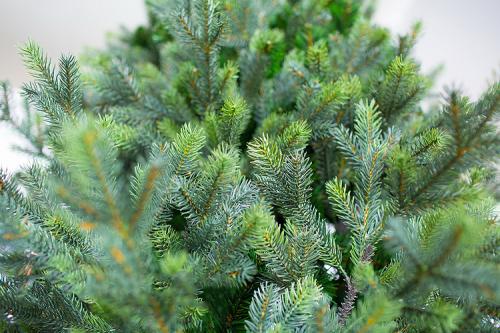 Елка искусственная Сказочная премиум 5,0 м